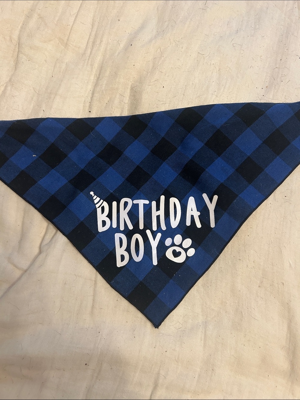 Amazon Blue & Black Plaid "Birthday Boy" Dog Bandana
